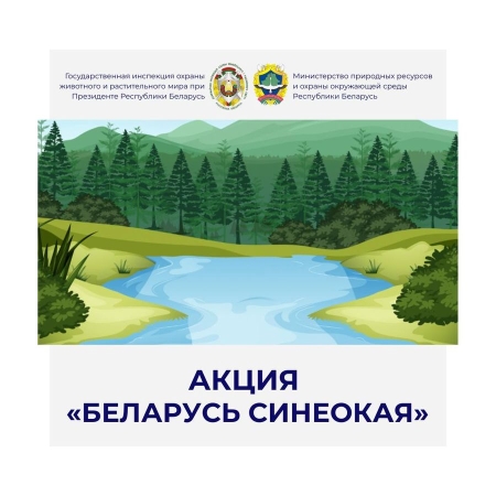 Беларусь синеокая