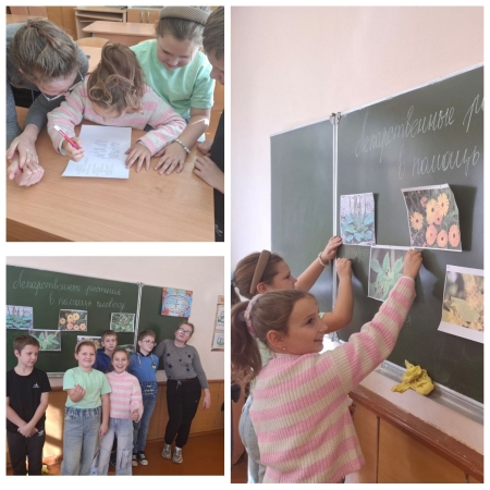 Знакомство с лекарственными растениями