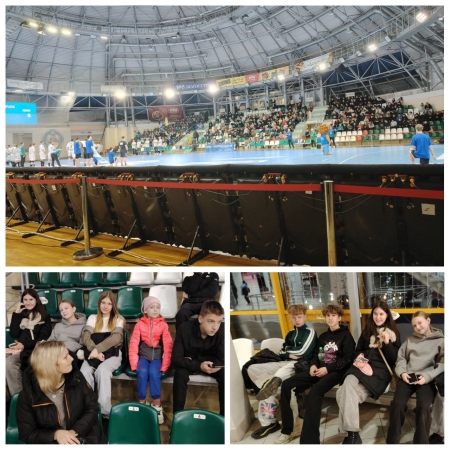 Соревнования по гандболу